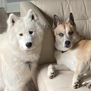 Meet your Posher, Laurie